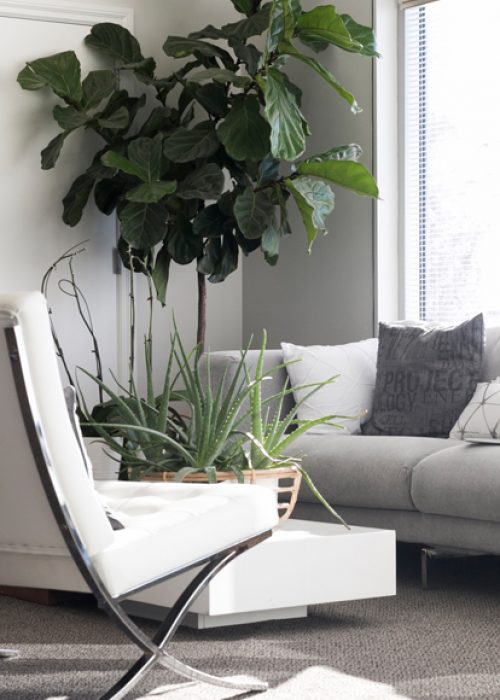 living-room2-free-img living-room2-free-img